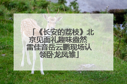 《长安的荔枝》北京见面礼趣味盎然 雷佳音岳云鹏现场认领卧龙凤雏