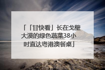 「甘快看」长在戈壁大漠的绿色蔬菜38小时直达粤港澳餐桌