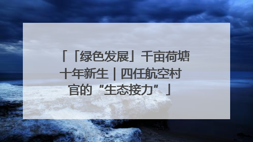 「绿色发展」千亩荷塘 十年新生｜四任航空村官的“生态接力”