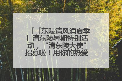 「东陵清风消夏季」清东陵暑期特别活动，“清东陵大使”招募啦！用你的热爱守护世界遗产！