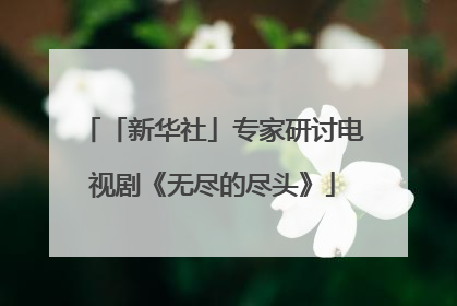 「新华社」专家研讨电视剧《无尽的尽头》