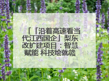 「沿着高速看当代江西国企」梨东改扩建项目：智慧赋能 科技绘就赣鄱交通新图景