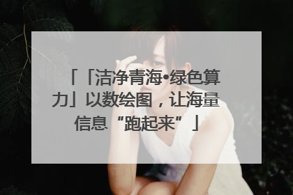 「洁净青海•绿色算力」以数绘图，让海量信息“跑起来”