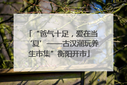 “爸气十足，爱在当‘夏’——古汉潮玩养生市集”衡阳开市