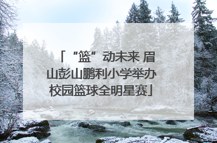“篮”动未来 眉山彭山鹏利小学举办校园篮球全明星赛