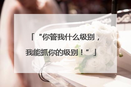 “你管我什么级别，我能抓你的级别！”