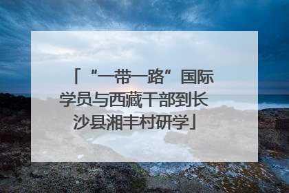 “一带一路”国际学员与西藏干部到长沙县湘丰村研学