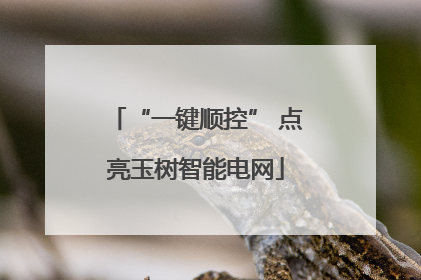 “一键顺控” 点亮玉树智能电网