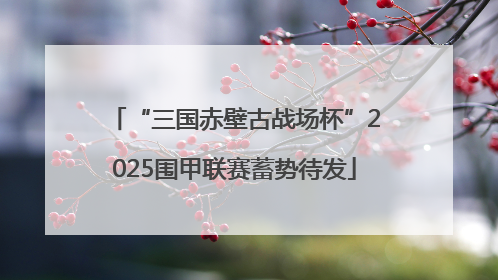 “三国赤壁古战场杯”2025围甲联赛蓄势待发