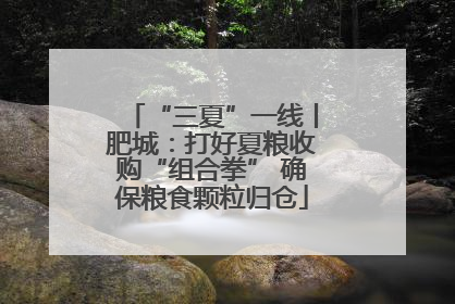 “三夏”一线丨肥城：打好夏粮收购“组合拳” 确保粮食颗粒归仓