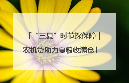 “三夏”时节探保障｜农机贷助力夏粮收满仓