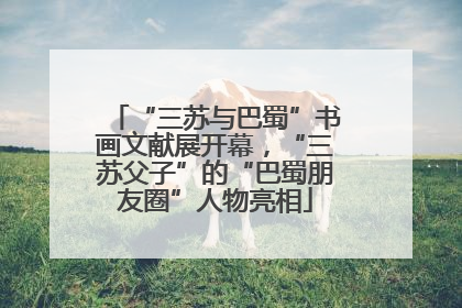“三苏与巴蜀”书画文献展开幕，“三苏父子”的“巴蜀朋友圈”人物亮相