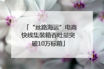 “丝路海运”电商快线集装箱吞吐量突破10万标箱