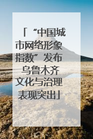 “中国城市网络形象指数”发布 乌鲁木齐文化与治理表现突出
