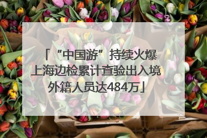 “中国游”持续火爆 上海边检累计查验出入境外籍人员达484万
