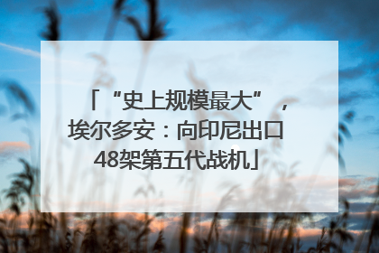 “史上规模最大”，埃尔多安：向印尼出口48架第五代战机