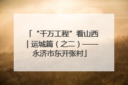 “千万工程”看山西｜运城篇（之二）——永济市东开张村