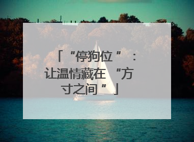 “停狗位 ”：让温情藏在 “方寸之间 ”