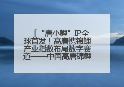 “唐小鲤”IP全球首发！高唐携锦鲤产业指数布局数字赛道——中国高唐锦鲤产业指数暨“唐小鲤”IP全球首发仪式在杭州举行