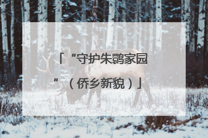 “守护朱鹮家园”（侨乡新貌）