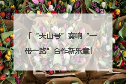 “天山号”奏响“一带一路”合作新乐章