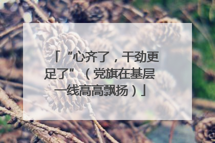 “心齐了，干劲更足了”（党旗在基层一线高高飘扬）