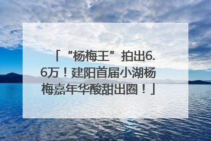 “杨梅王”拍出6.6万！建阳首届小湖杨梅嘉年华酸甜出圈！