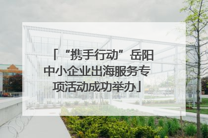 “携手行动”岳阳中小企业出海服务专项活动成功举办