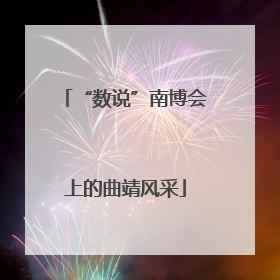 “数说”南博会上的曲靖风采
