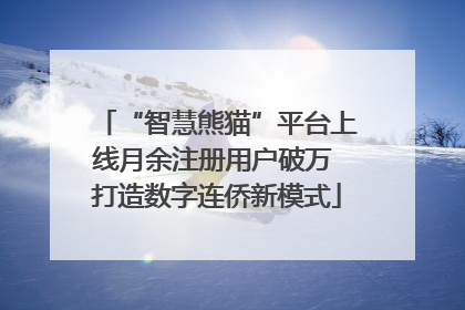 “智慧熊猫”平台上线月余注册用户破万 打造数字连侨新模式