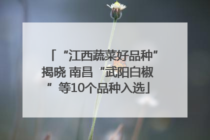 “江西蔬菜好品种”揭晓 南昌“武阳白椒”等10个品种入选