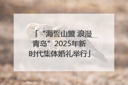 “海誓山盟 浪漫青岛”2025年新时代集体婚礼举行