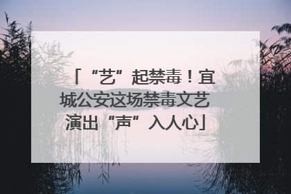 “艺”起禁毒！宜城公安这场禁毒文艺演出“声”入人心