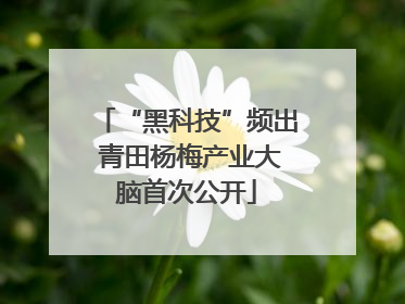 “黑科技”频出 青田杨梅产业大脑首次公开