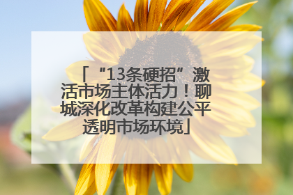 “13条硬招”激活市场主体活力！聊城深化改革构建公平透明市场环境