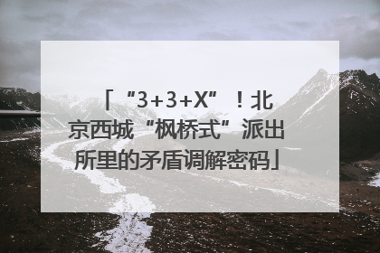 “3+3+X”！北京西城“枫桥式”派出所里的矛盾调解密码