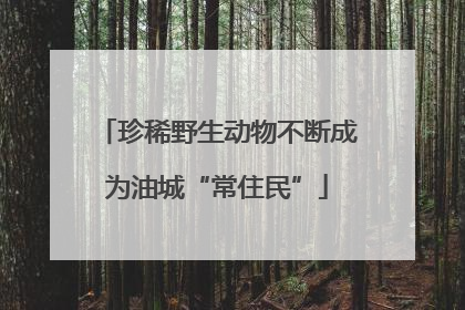 珍稀野生动物不断成为油城“常住民”