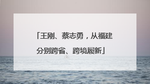 王刚、蔡志勇，从福建分别跨省、跨境履新