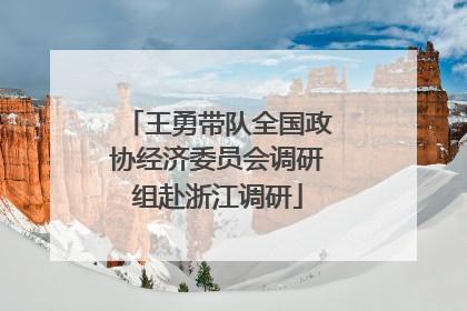 王勇带队全国政协经济委员会调研组赴浙江调研