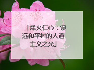 烽火仁心：镇远和平村的人道主义之光