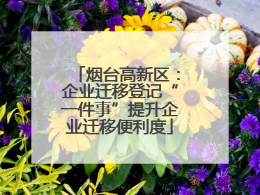 烟台高新区：企业迁移登记“一件事”提升企业迁移便利度
