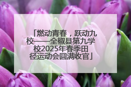 燃动青春，跃动九校——全椒县第九学校2025年春季田径运动会圆满收官