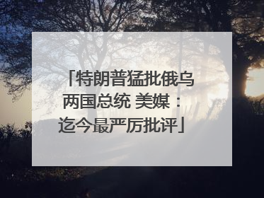 特朗普猛批俄乌两国总统 美媒：迄今最严厉批评
