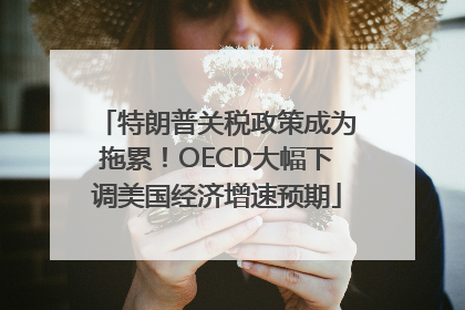 特朗普关税政策成为拖累！OECD大幅下调美国经济增速预期