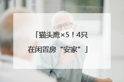 猫头鹰×5！4只在闲置房“安家”