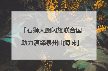 石狮大厨闪耀联合国 助力演绎泉州山海味