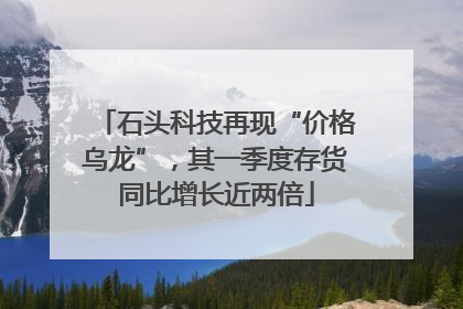 石头科技再现“价格乌龙”，其一季度存货同比增长近两倍
