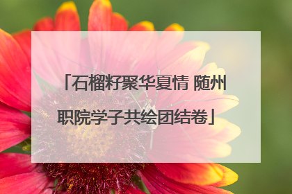 石榴籽聚华夏情 随州职院学子共绘团结卷