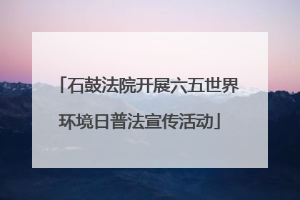 石鼓法院开展六五世界环境日普法宣传活动