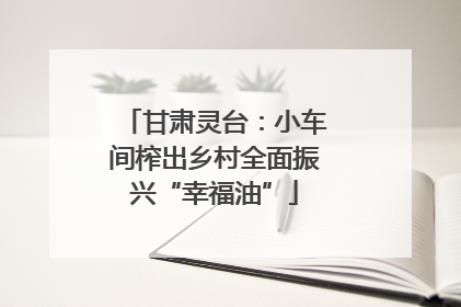 甘肃灵台：小车间榨出乡村全面振兴“幸福油”